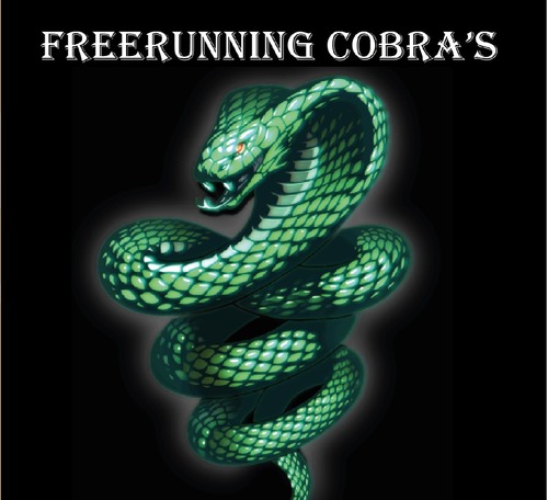 Logo Team Freerunning Cobra's 