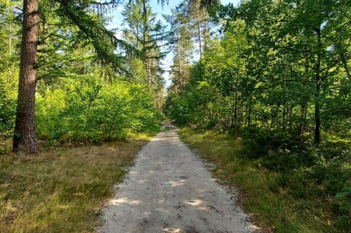 Foto bij Bosbad - Wandeltocht
