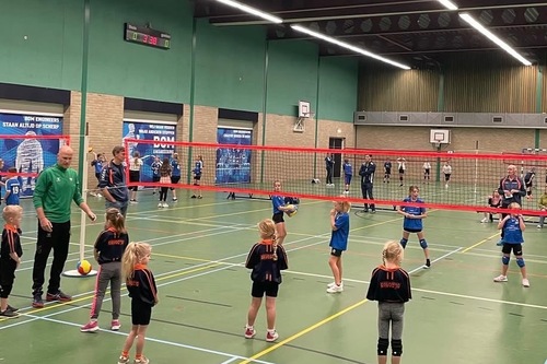 Volleybal